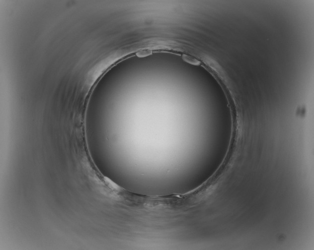 X0000111661089200907171604