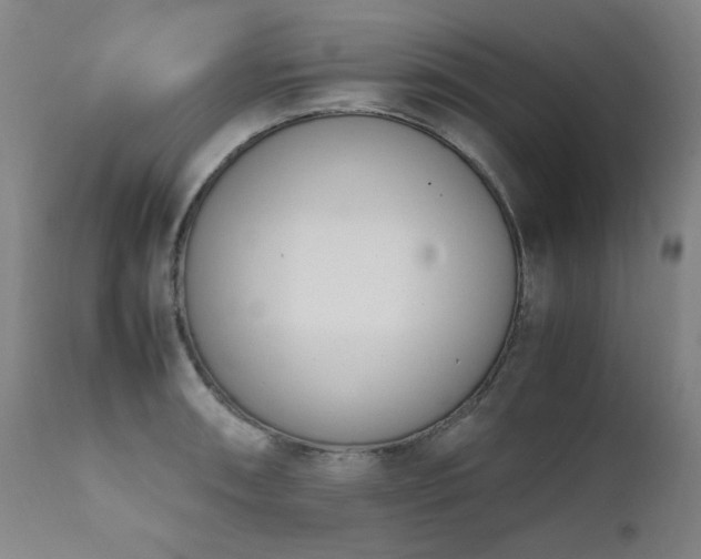 X0000111661090200907171604