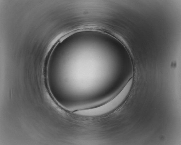 X0000111661091200907171604