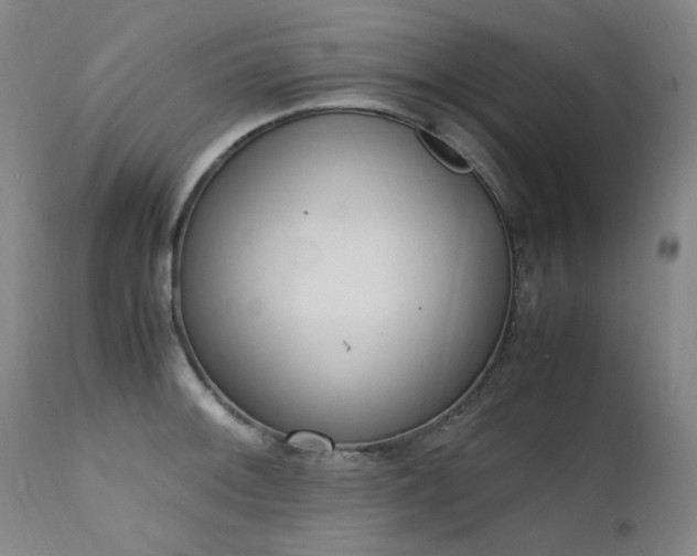 X0000111661092200907171604