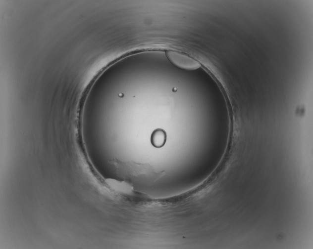 X0000111661093200907171604
