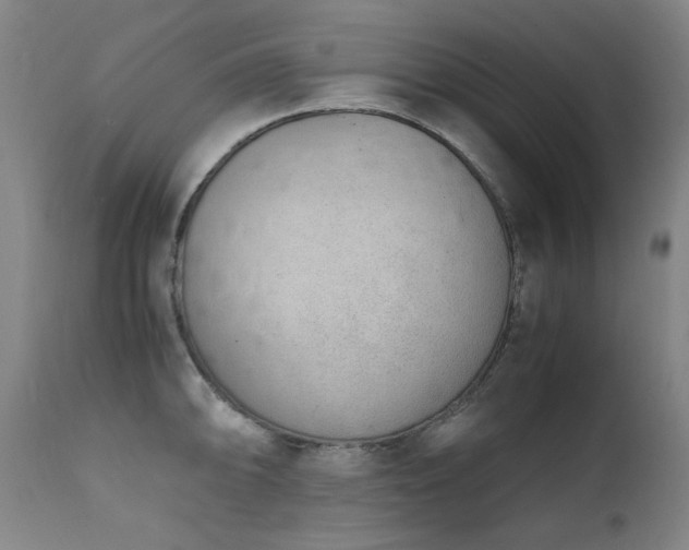 X0000111661094200907171604