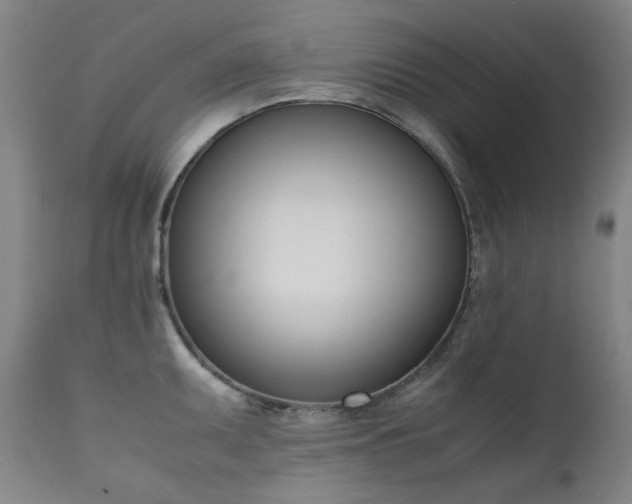 X0000111661095200907171604