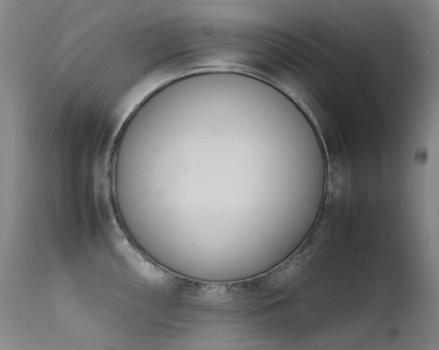 X0000111661098200907171604