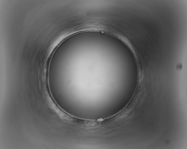X0000111661099200907171604