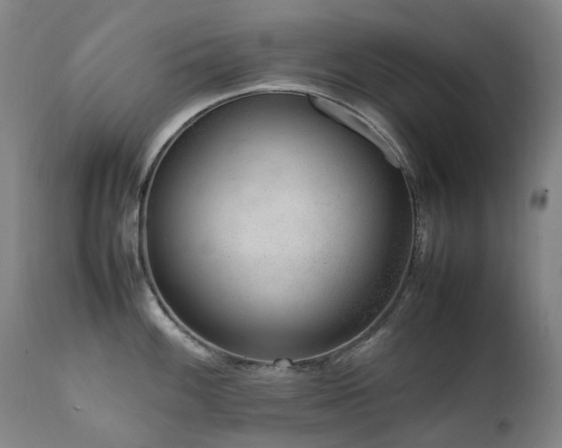 X0000111661100200907171604