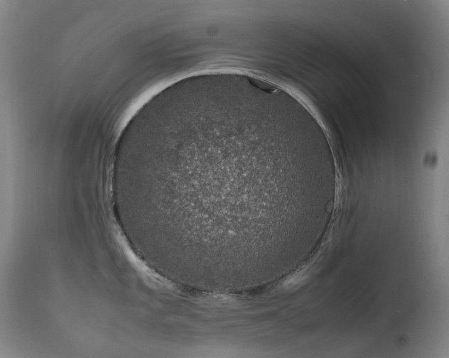 X0000111661101200907171604