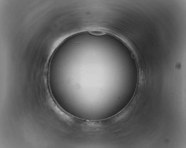 X0000111661102200907171604