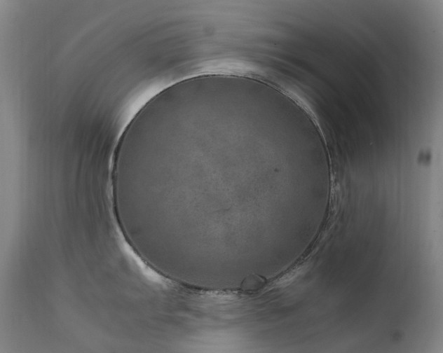 X0000111661103200907171604