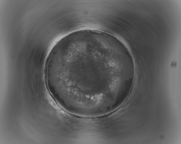 X0000111661104200907171604