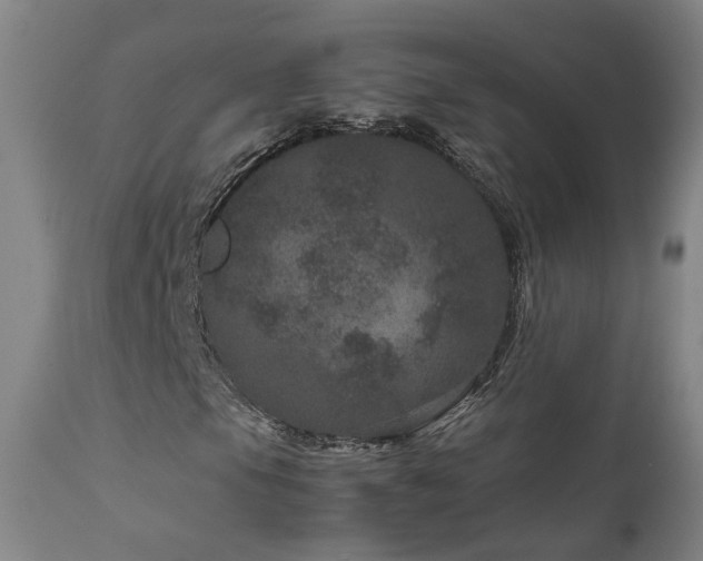 X0000111661105200907171603