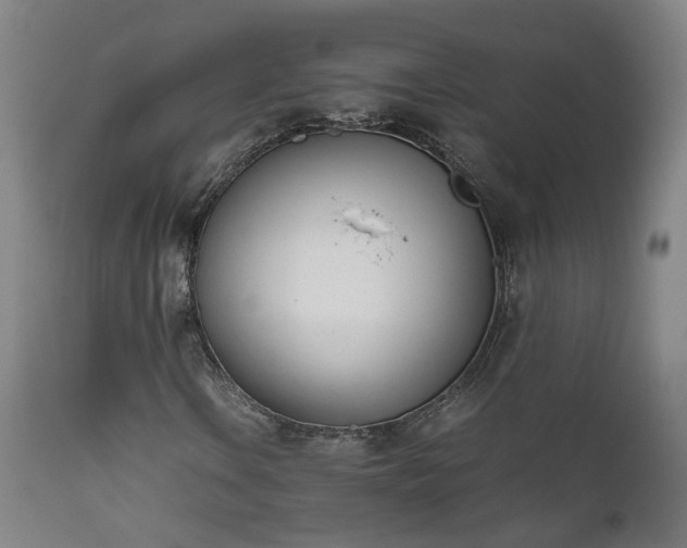 X0000111661106200907171603