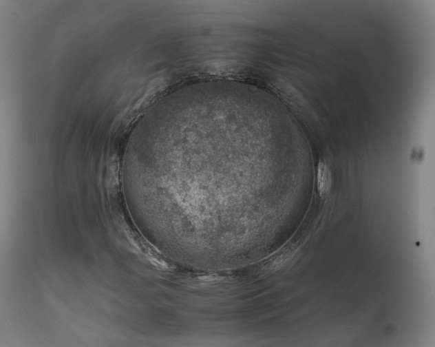 X0000111661107200907171603