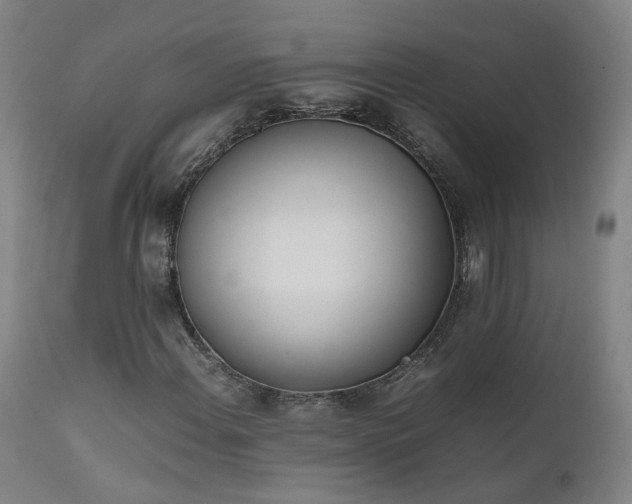 X0000111661108200907171603