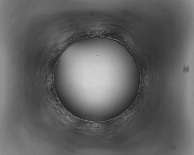 X0000111661109200907171603