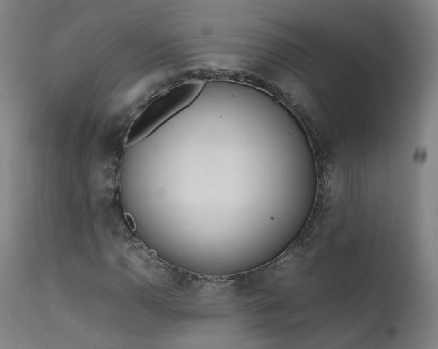 X0000111661110200907171603