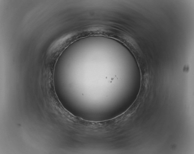 X0000111661111200907171603
