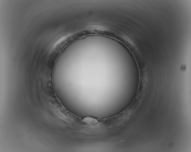 X0000111661112200907171603