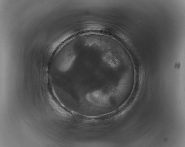 X0000111661113200907171603