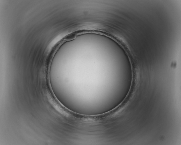 X0000111661114200907171603