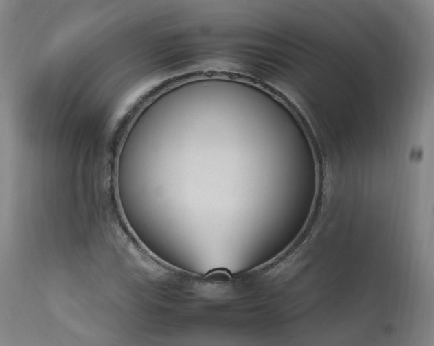 X0000111661115200907171603