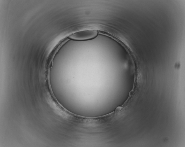 X0000111661116200907171603