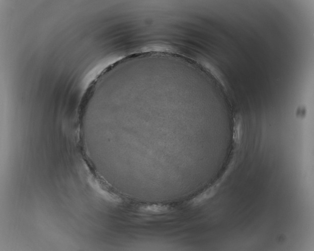 X0000111661117200907171603
