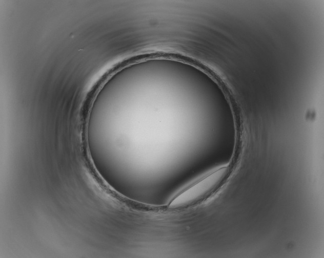 X0000111661118200907171603