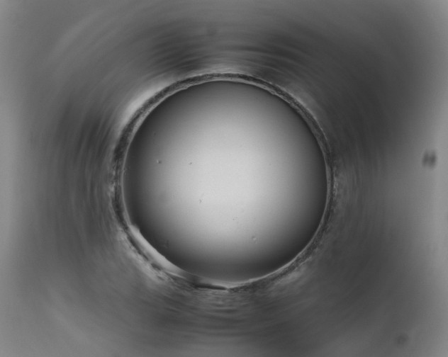 X0000111661119200907171603