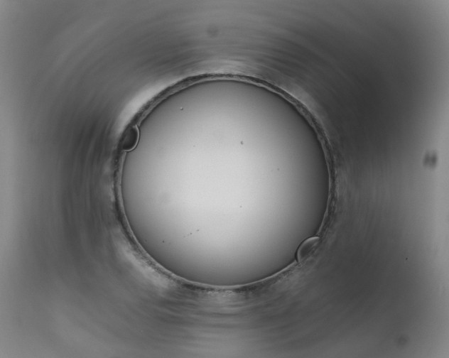 X0000111661120200907171603