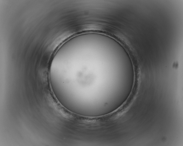 X0000111661121200907171603