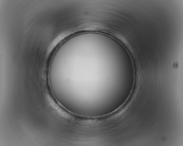 X0000111661122200907171603