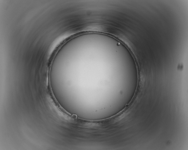 X0000111661123200907171603