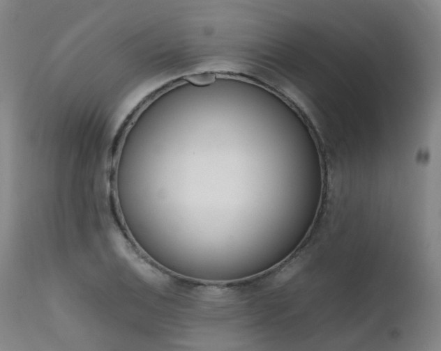 X0000111661124200907171603