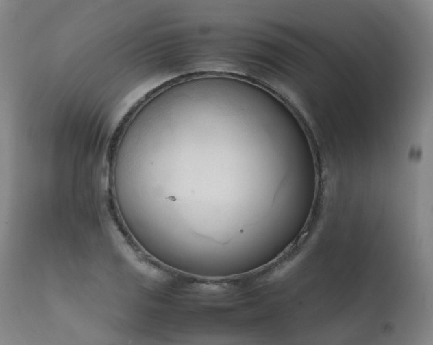 X0000111661125200907171603