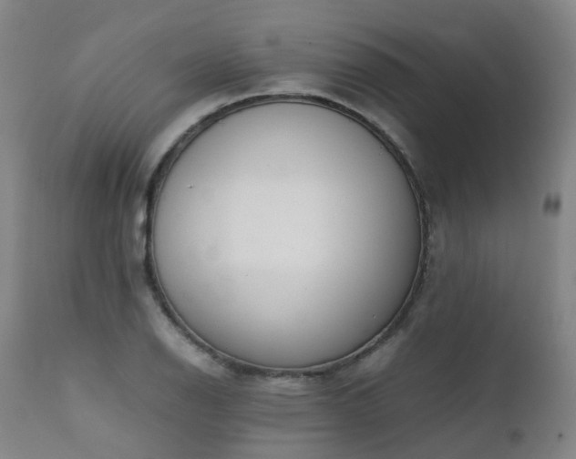 X0000111661126200907171603