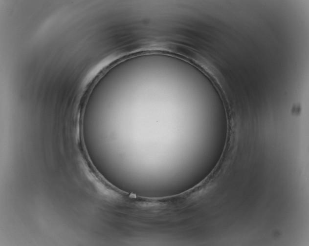 X0000111661127200907171603
