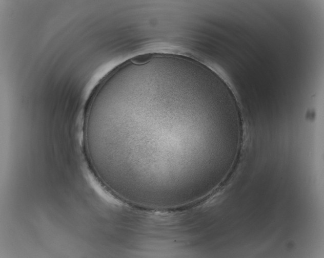 X0000111661128200907171603