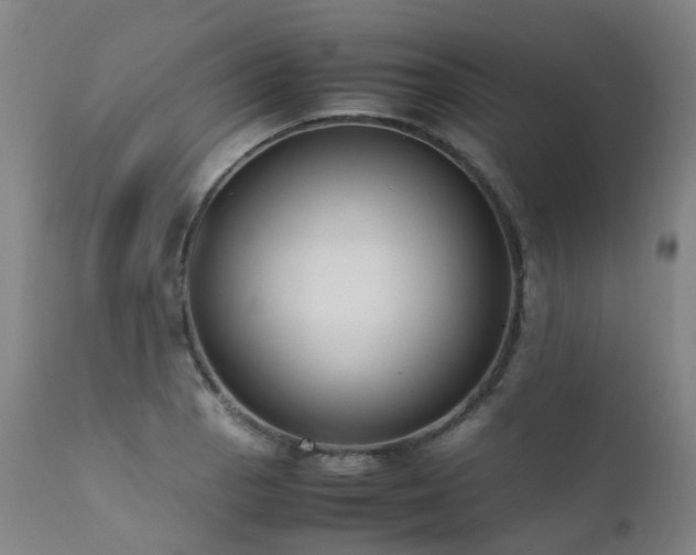 X0000111661129200907171603