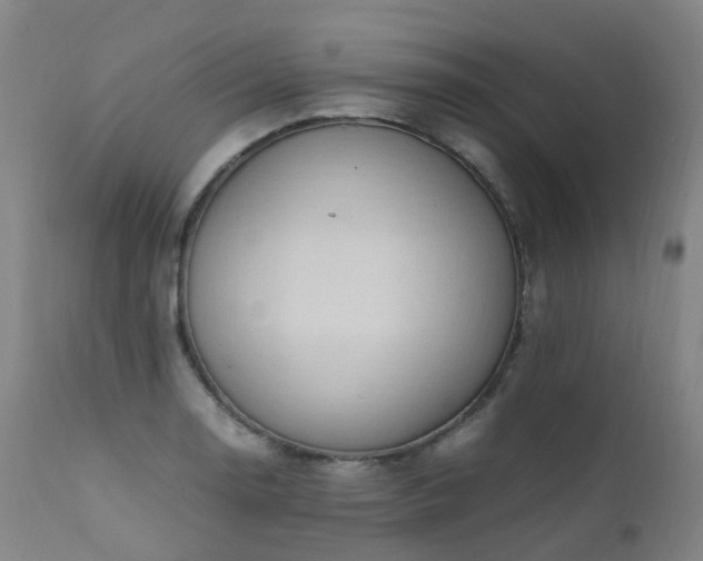 X0000111661130200907171603