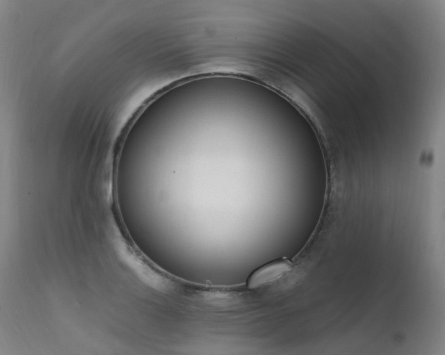 X0000111661132200907171603
