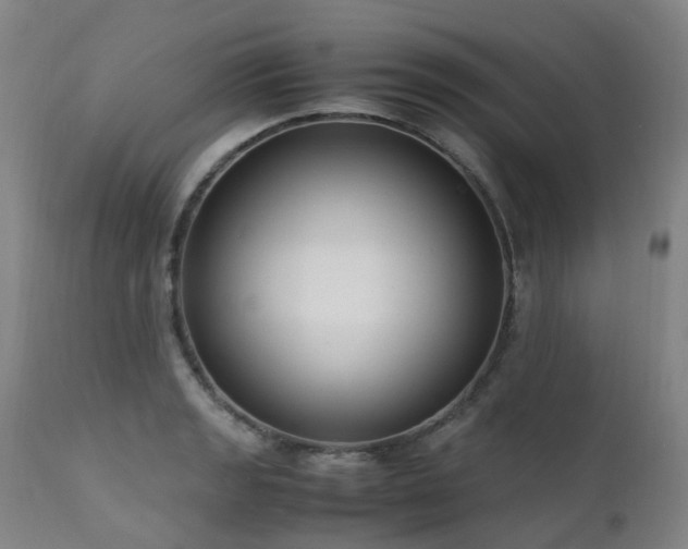 X0000111661133200907171603