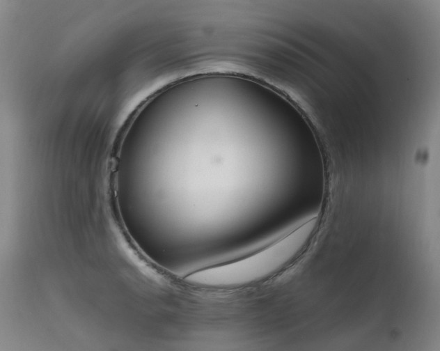 X0000111661134200907171603