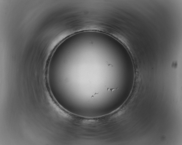 X0000111661135200907171603