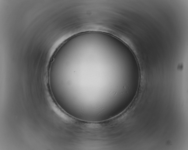 X0000111661136200907171603