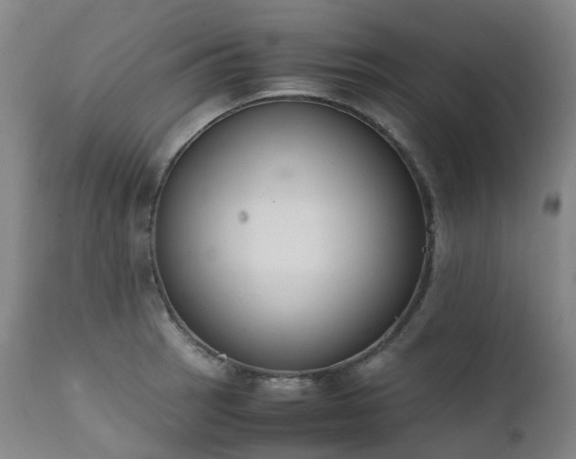 X0000111661137200907171603