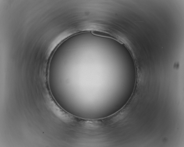 X0000111661138200907171603