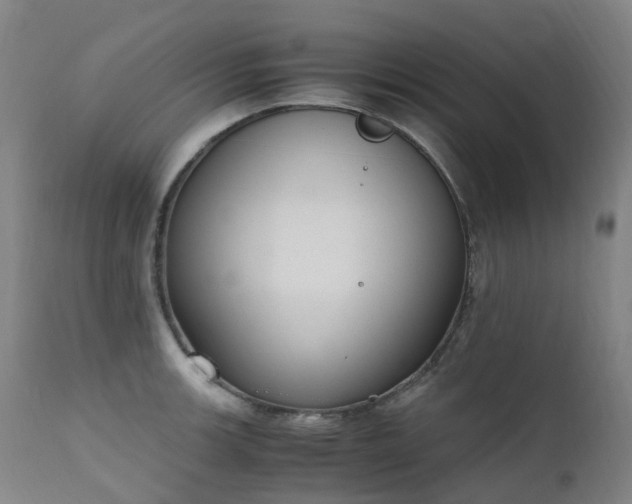 X0000111661139200907171603