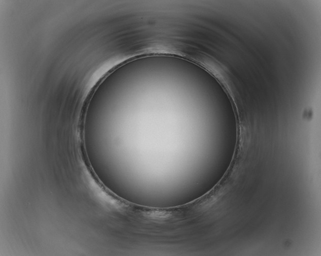 X0000111661141200907171603