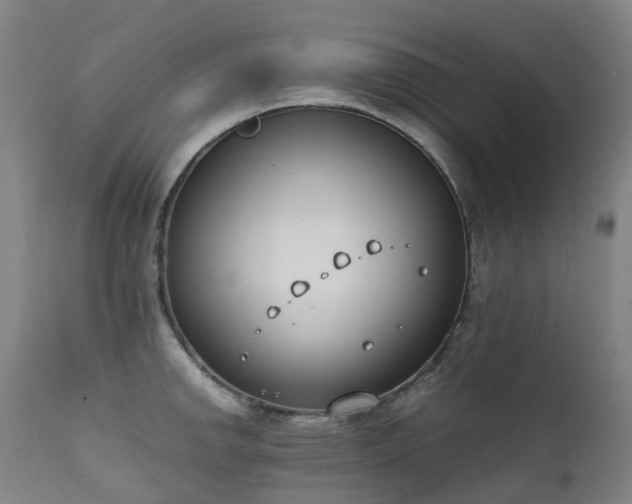 X0000111661142200907171603